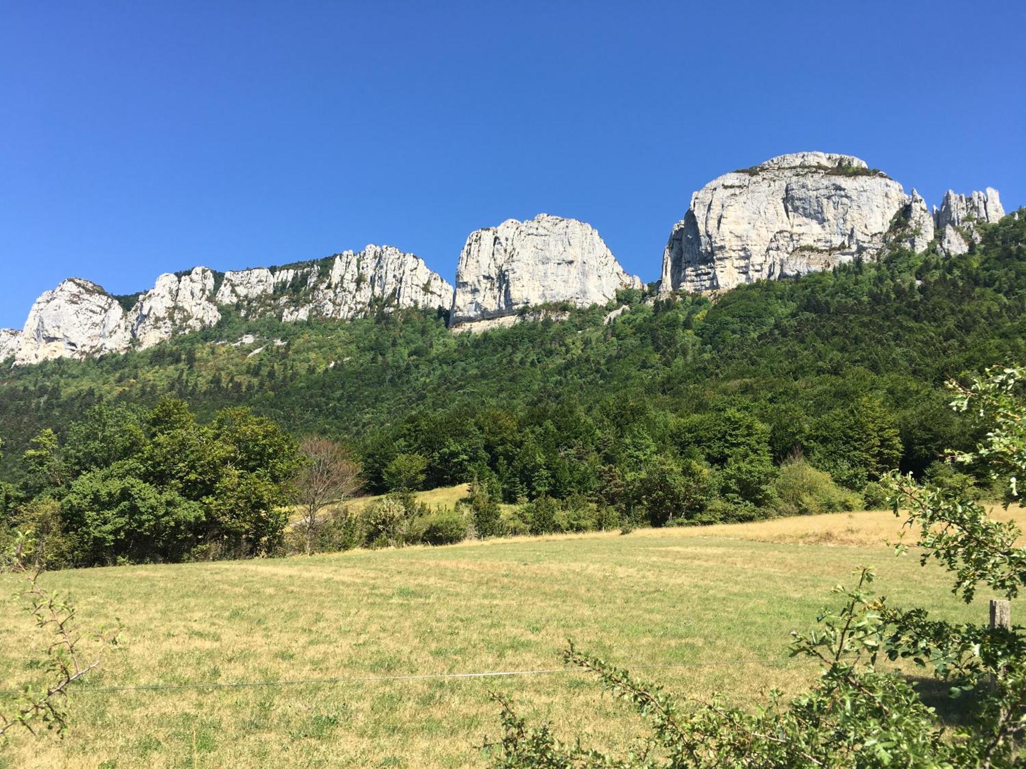 La Villa De Lise Romans-sur-Isère Eksteriør bilde